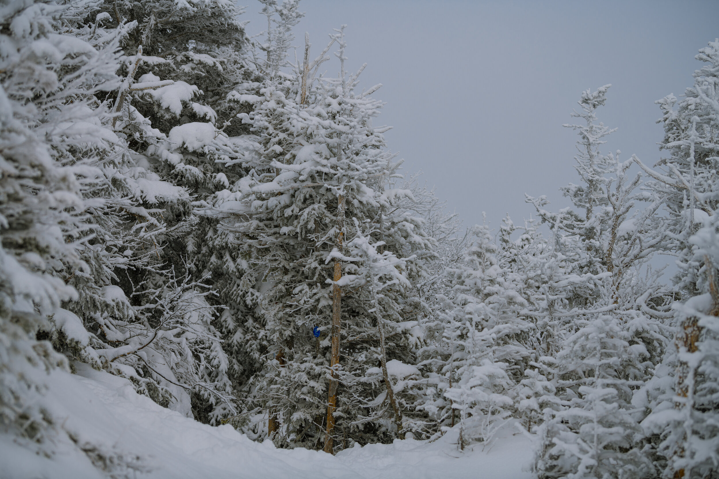 0.3 miles until the peak to Big Slide Mountain - ADK Winter Series, 2021