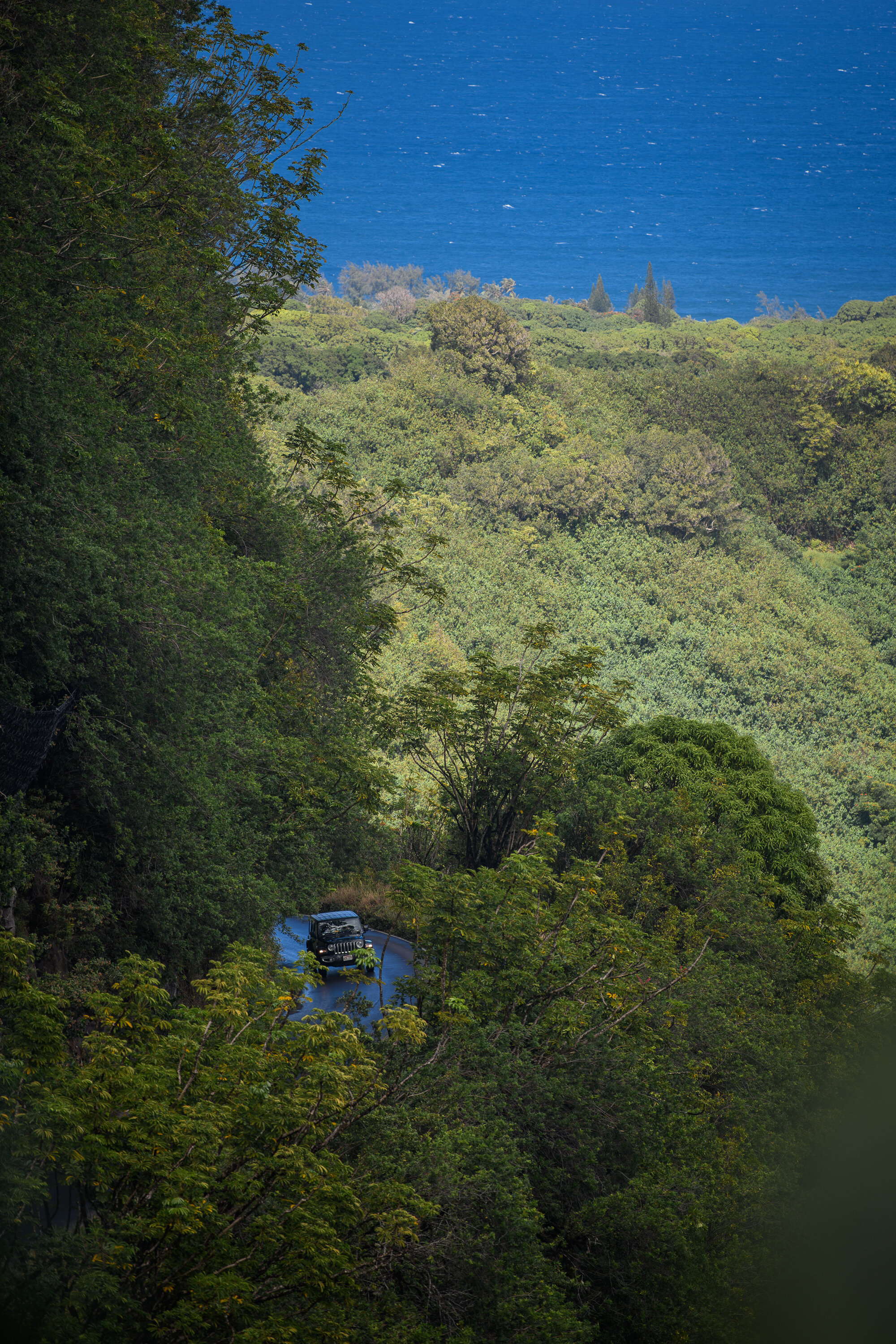 Car Upon the Cliff - Road to Hana series, 2021
