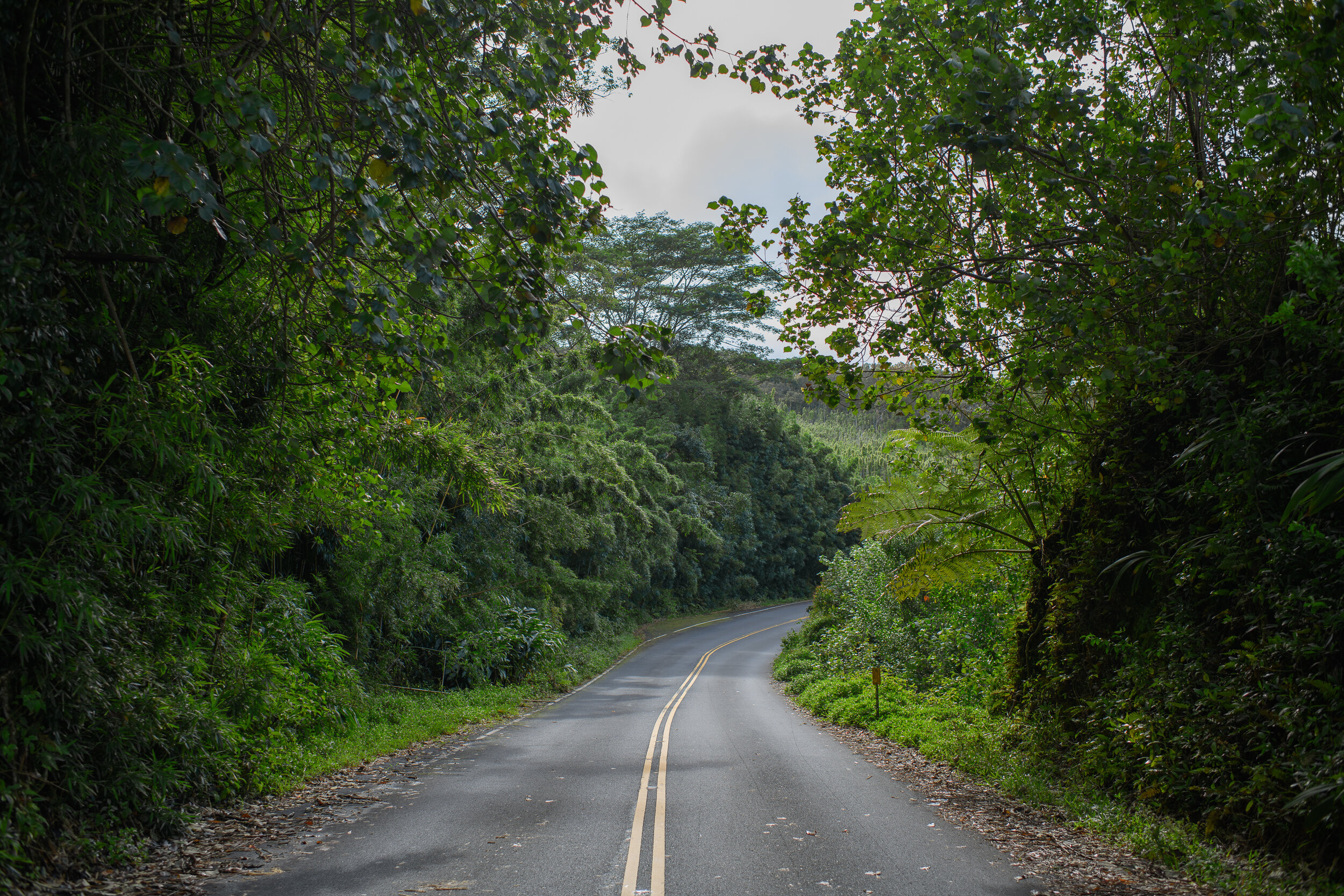 Hana Highway - Road to Hana series, 2021