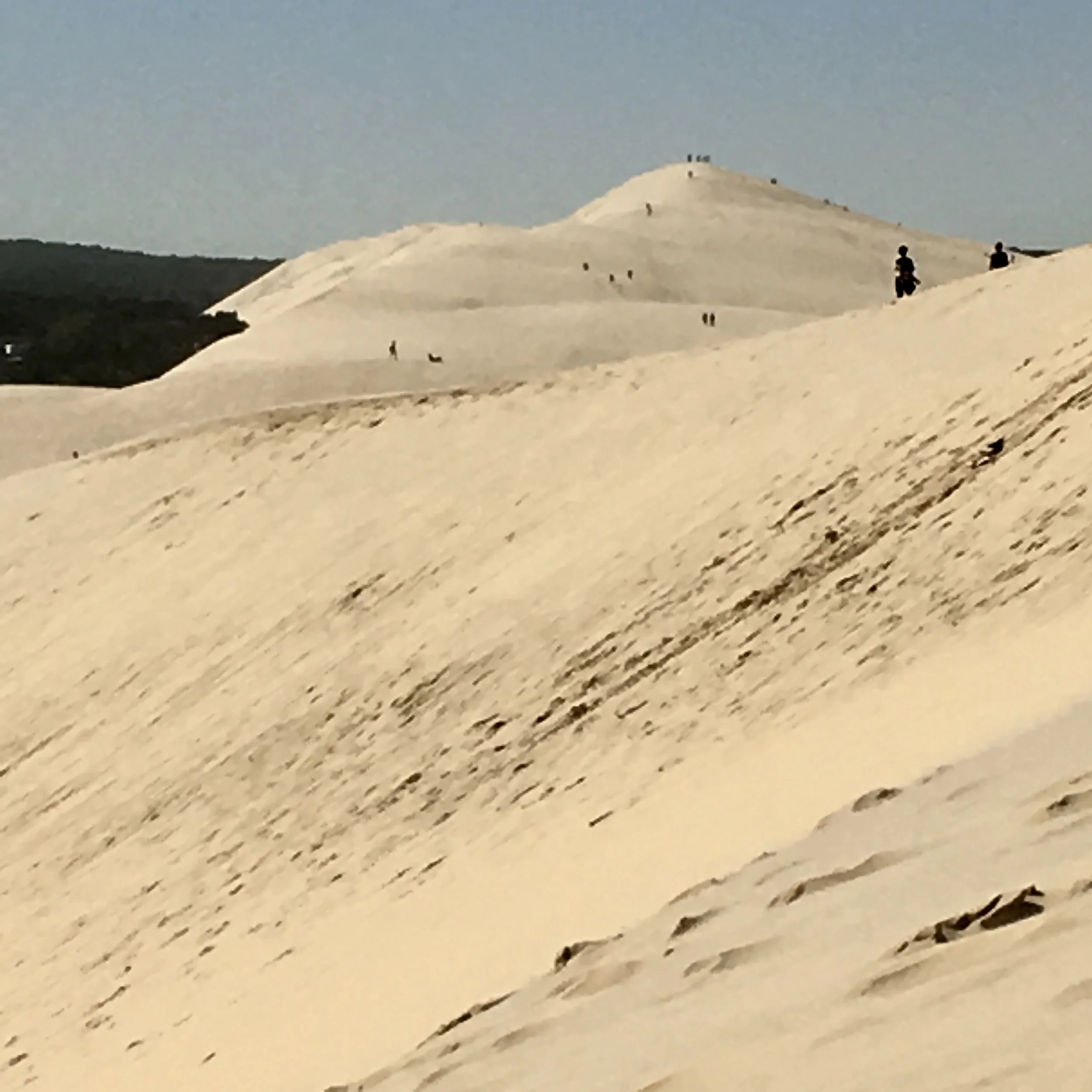 The Grand Site de la Dune de Pilat is Europe's largest sand dune and is just a one hour train ride from Bordeaux and short drive or bike ride from Arcachon. You can rent bikes in Arcachon and pedal 12 kilometers to the dune to scale its 110 meters (for those who don't like to sink their toes into the sand there is a stairway that leads to the top too). The views from the top are impressive and you can scamper down to the Atlantic Ocean below and a beautiful stretch of beach but remember the only way back up is to hike. The effect of the wind moves the dune one to five meters each year and little by little it is covering a unique forest that dates back to the middle ages.