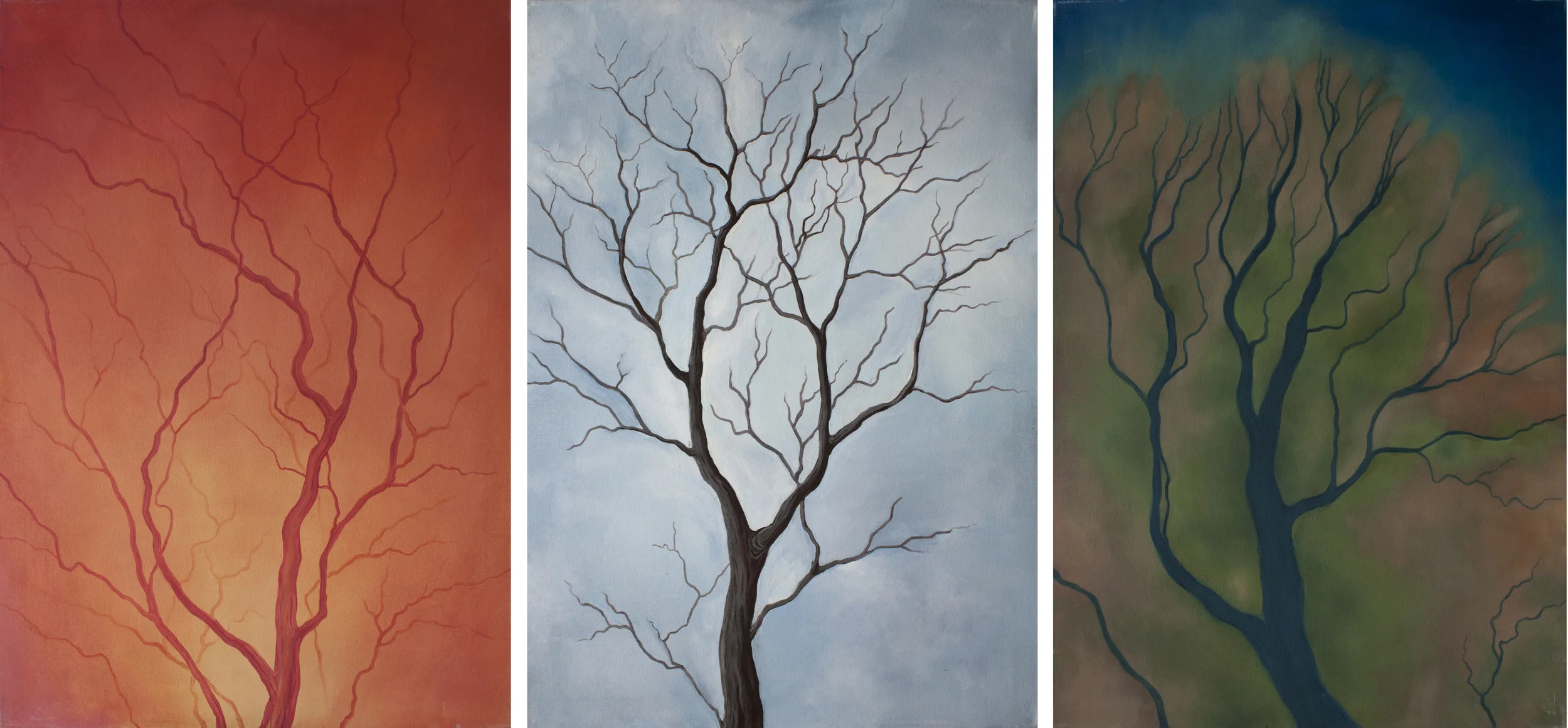   Patterns   Triptych, from left: retinal blood vessels, tree branches, river delta 