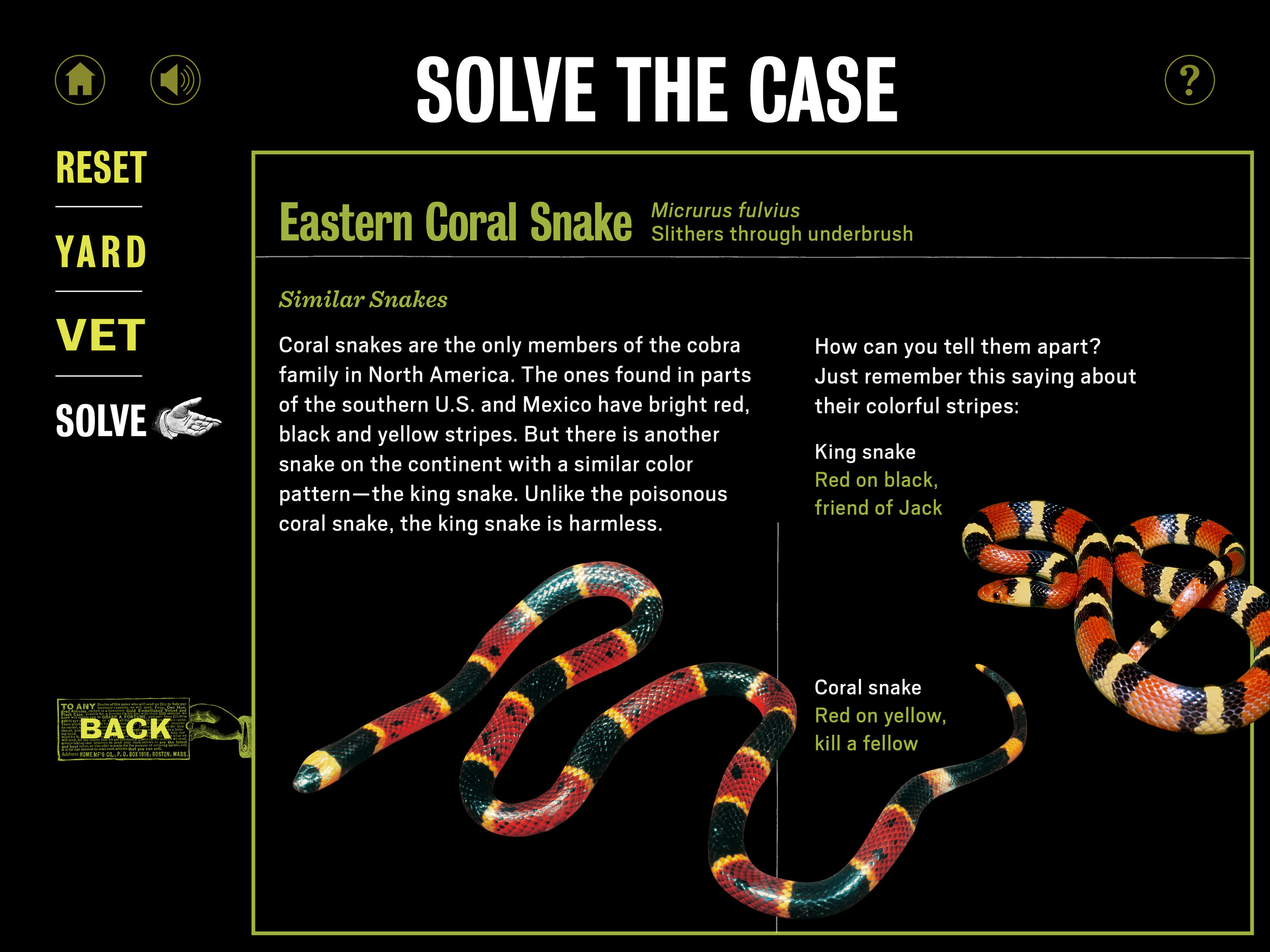 Poison_iPad_SOLVE-snake.jpg