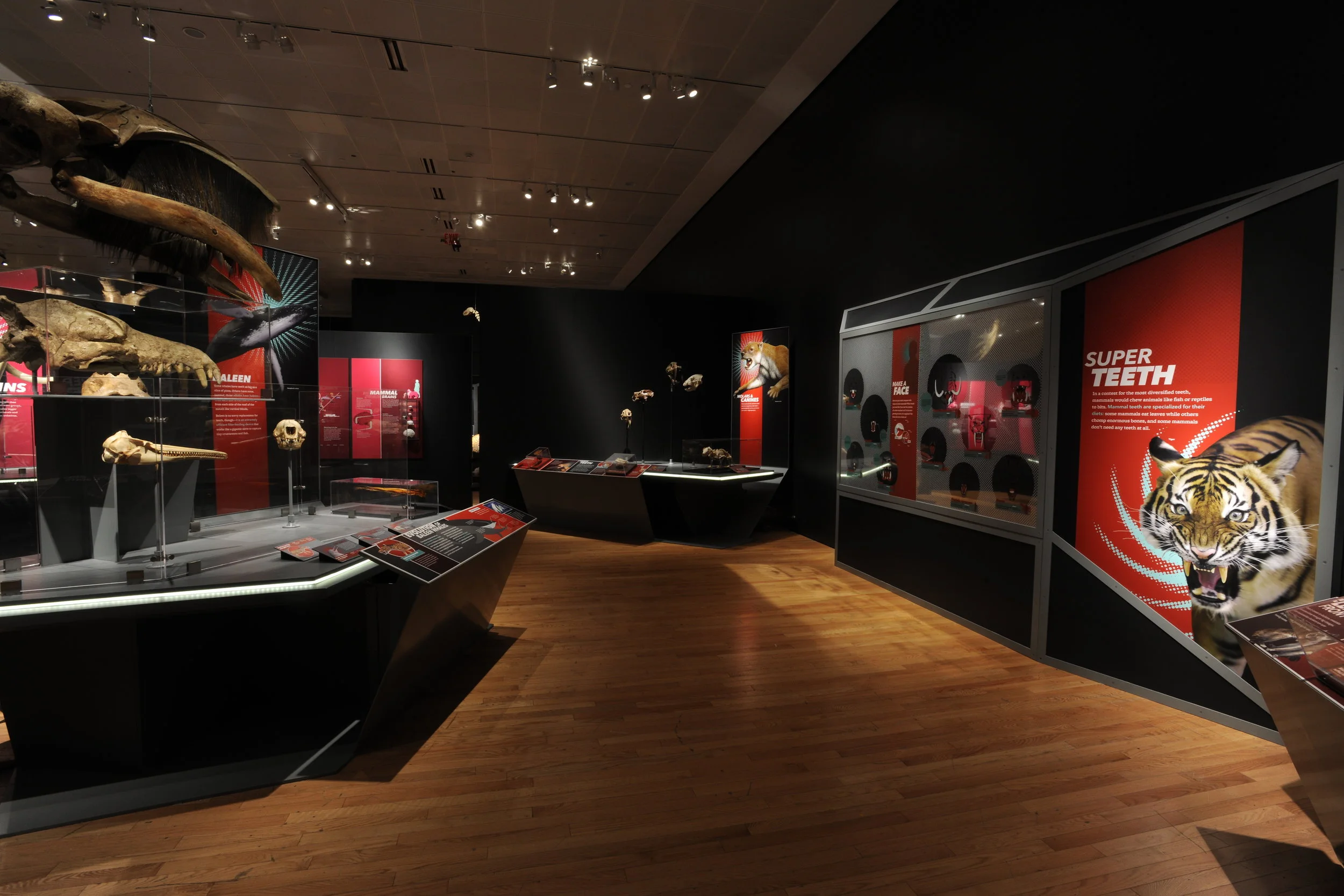 4 Heads-to-Tails 6.JPG