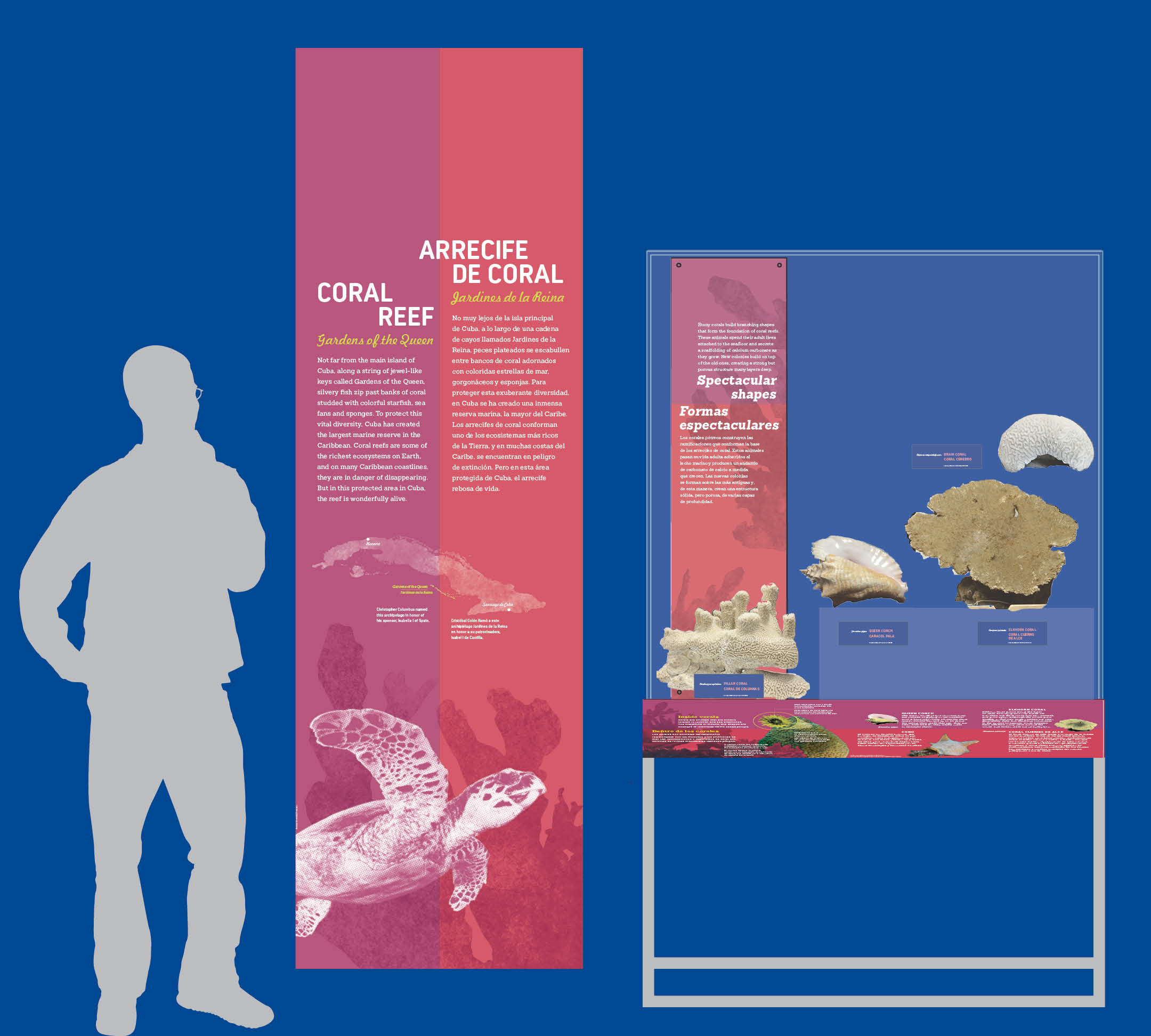 Reef_system_elevation.jpg