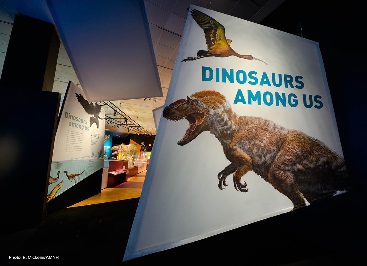 Dinosaurs Among Us