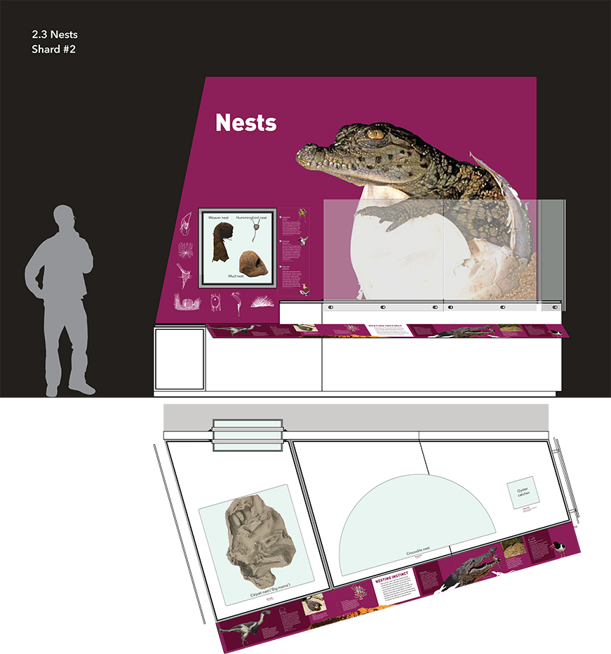 2.3_Nests_elevation.jpg