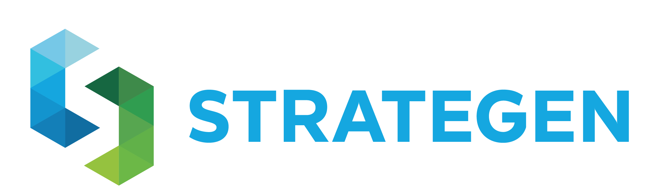 Strategen Logo-01-PNG No background.png