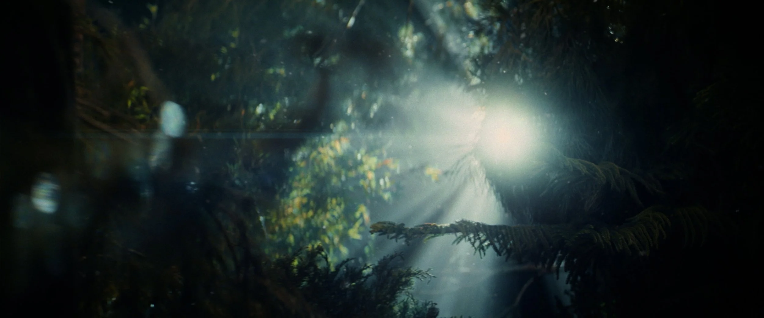 Rule Your Day_DC_H264_AH_210719.00_00_38_11.Still086.jpg