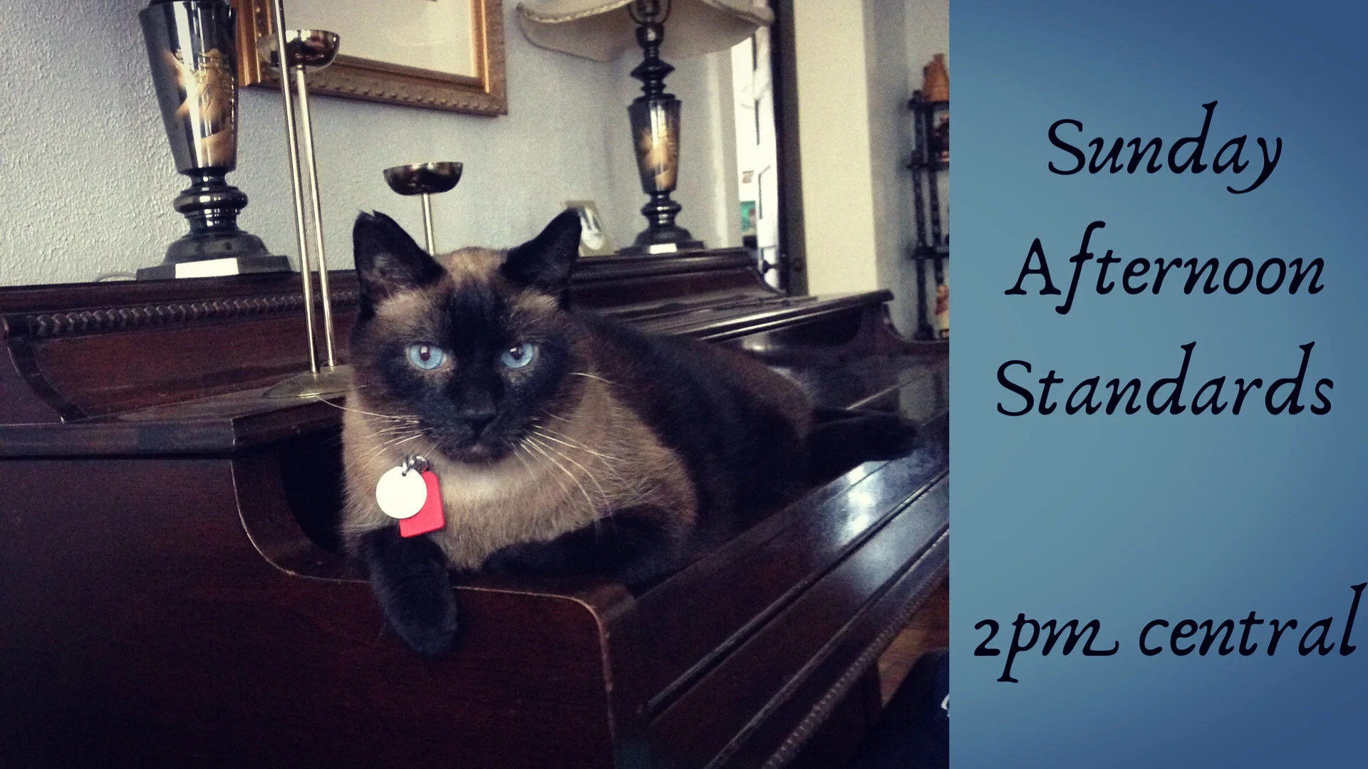 Sunday Afternoon Standards (live stream)