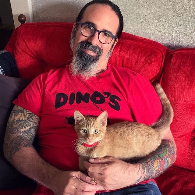 I SWORE I wasn&rsquo;t gonna be a #fosterfail. I SWORE I&rsquo;d never have another orange tabby boy cuz I&rsquo;d already had my one and only #lucianthewondercat Wellllll shit. &lt;/Leslie Jordan&gt; 
Everybody: meet Dino. 
Remember when I said yes 