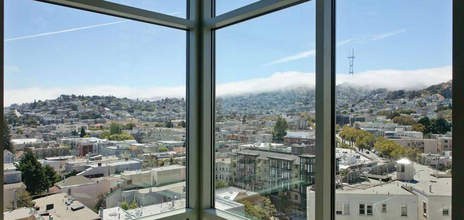 38 Dolores (Large).jpg