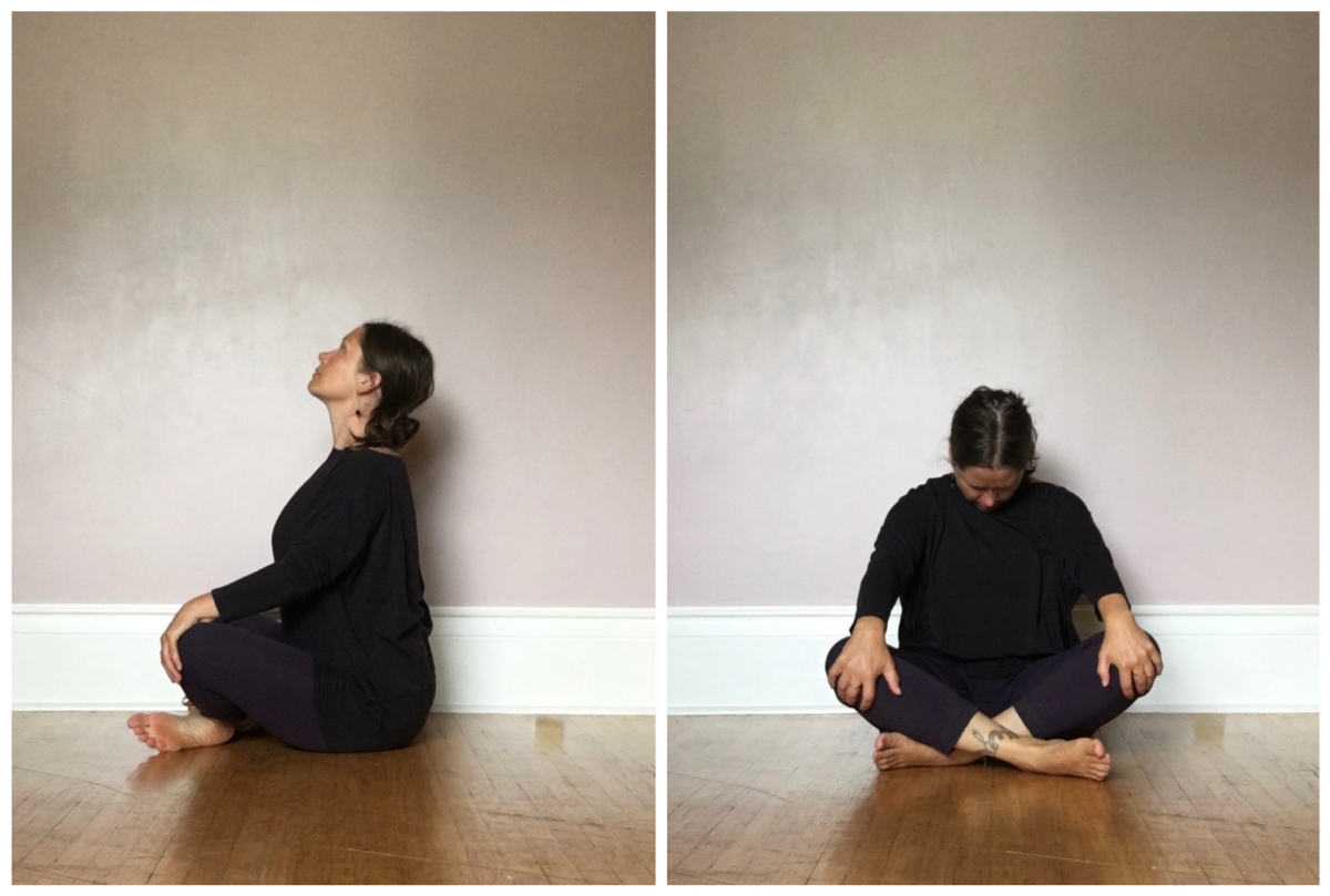 What Nervous System Regulation Actually Means — and 5 Yoga Practices That Support It