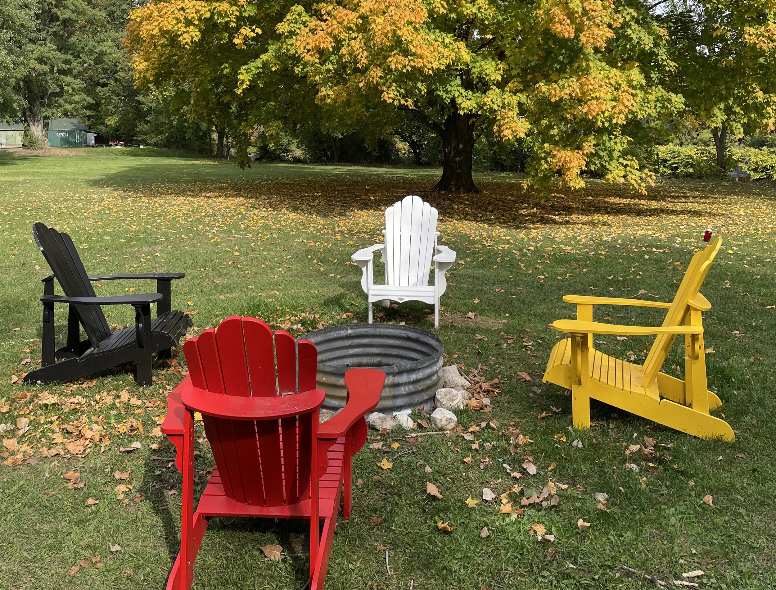 Colorful autumn leaves on a large tree in a park with five brightly colored Adirondack chairs in the foreground, including red, white, black, yellow, and red.