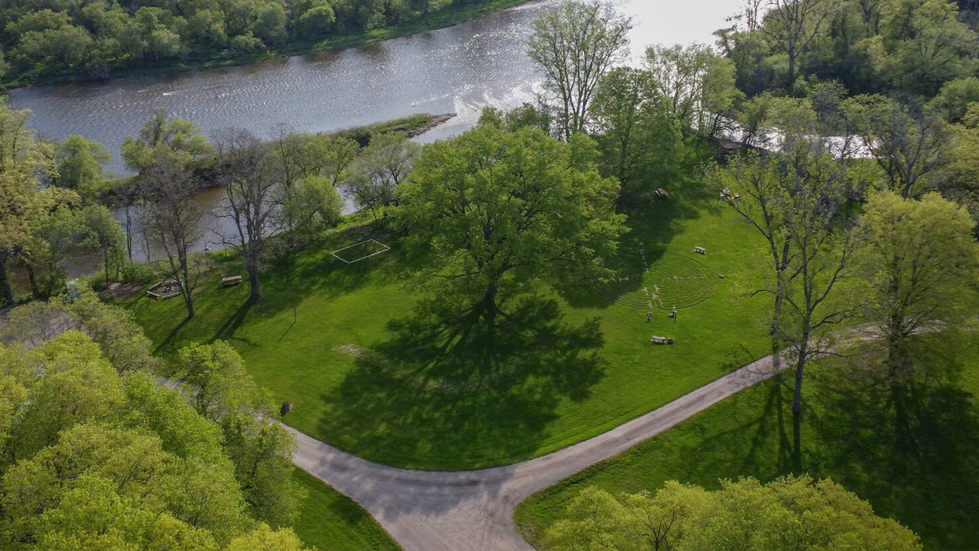 An aerial view of a park with a large tree in the center, surrounded by green grass, trees, walking paths, and a river running along one side.