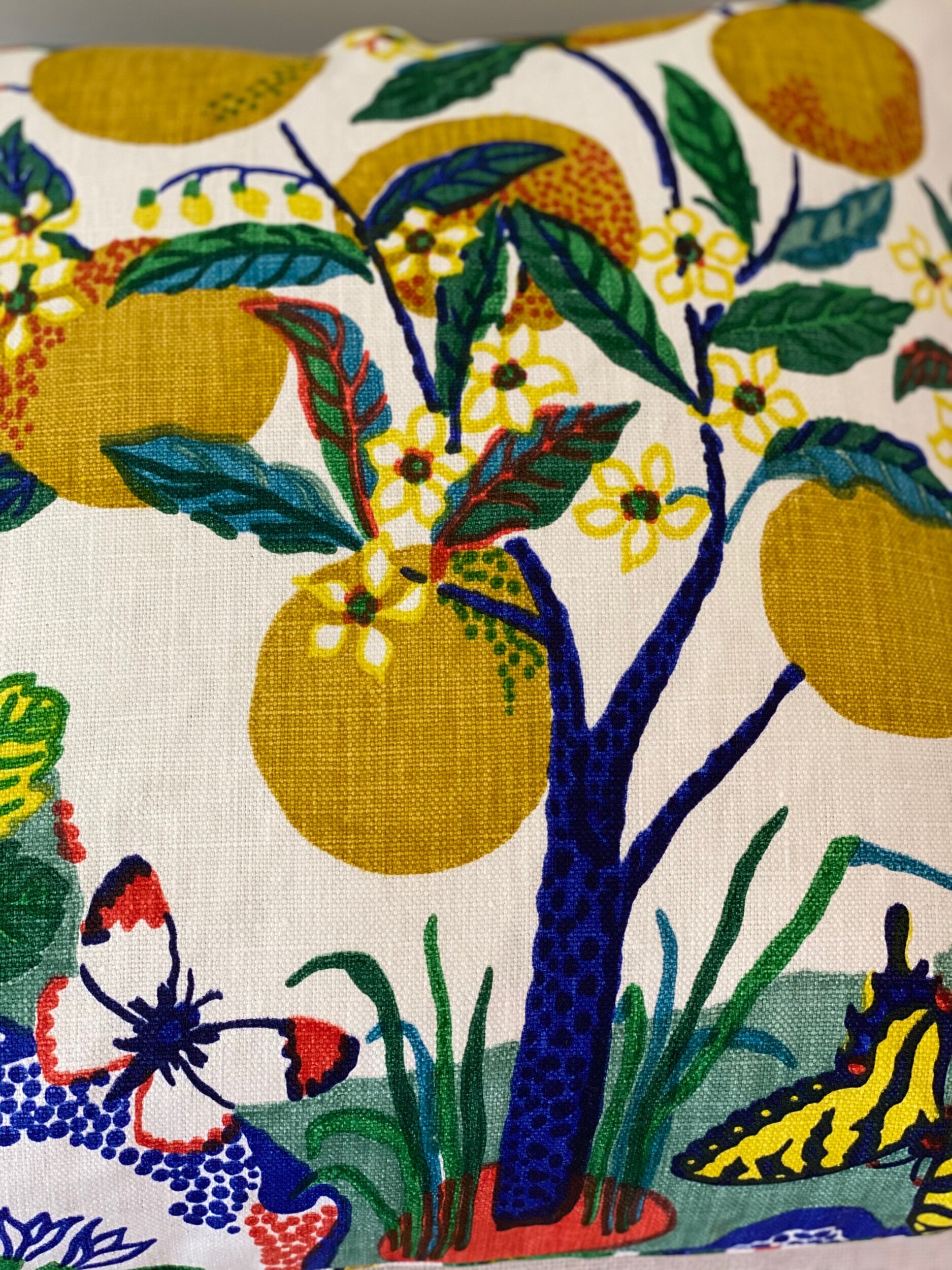 161E6776-6A7A-4BAC-99C5-F6EDB811EC36