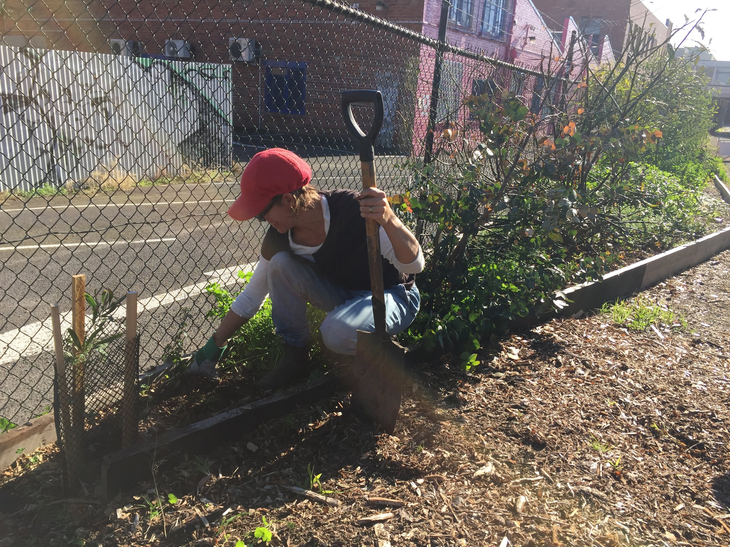 Weeding Brunswick West.JPG