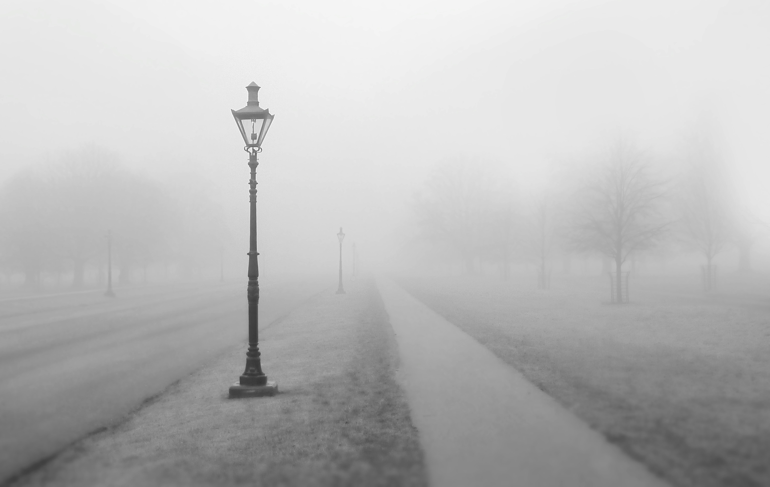 park_fog.jpg