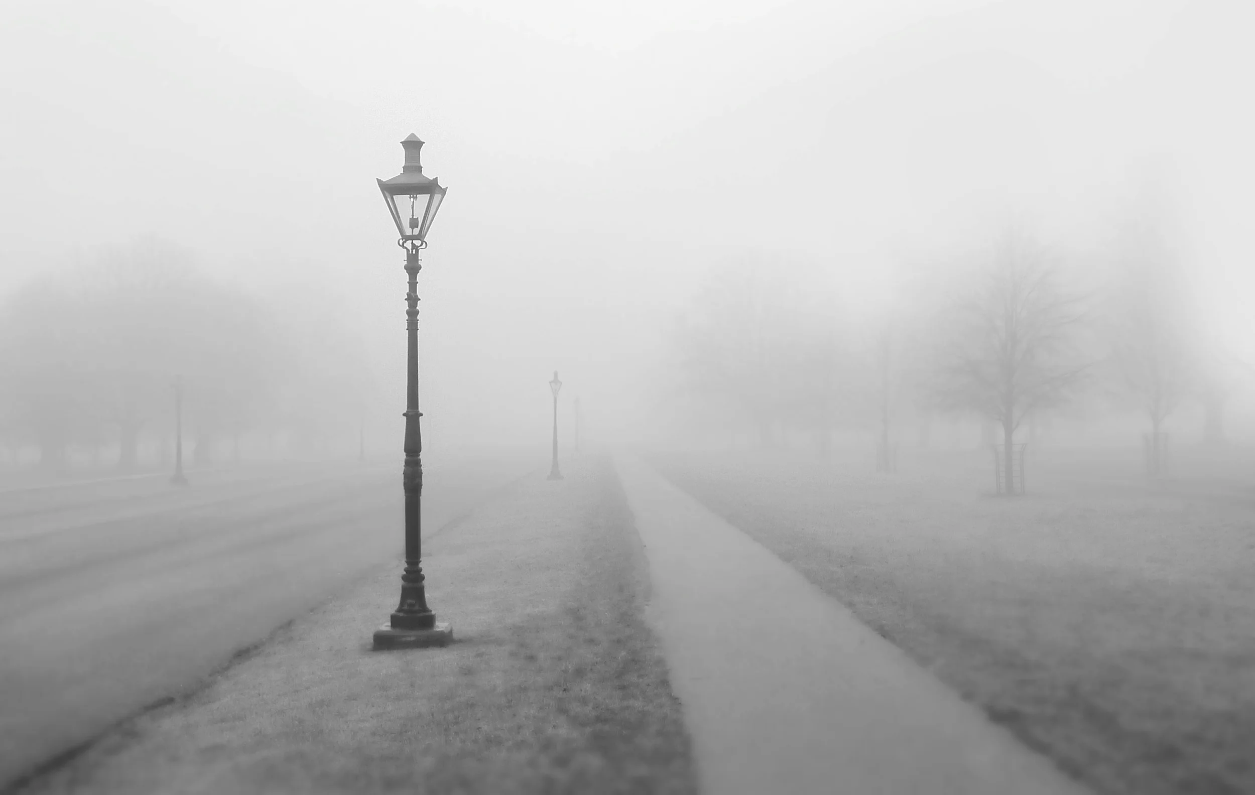 park_fog.jpg