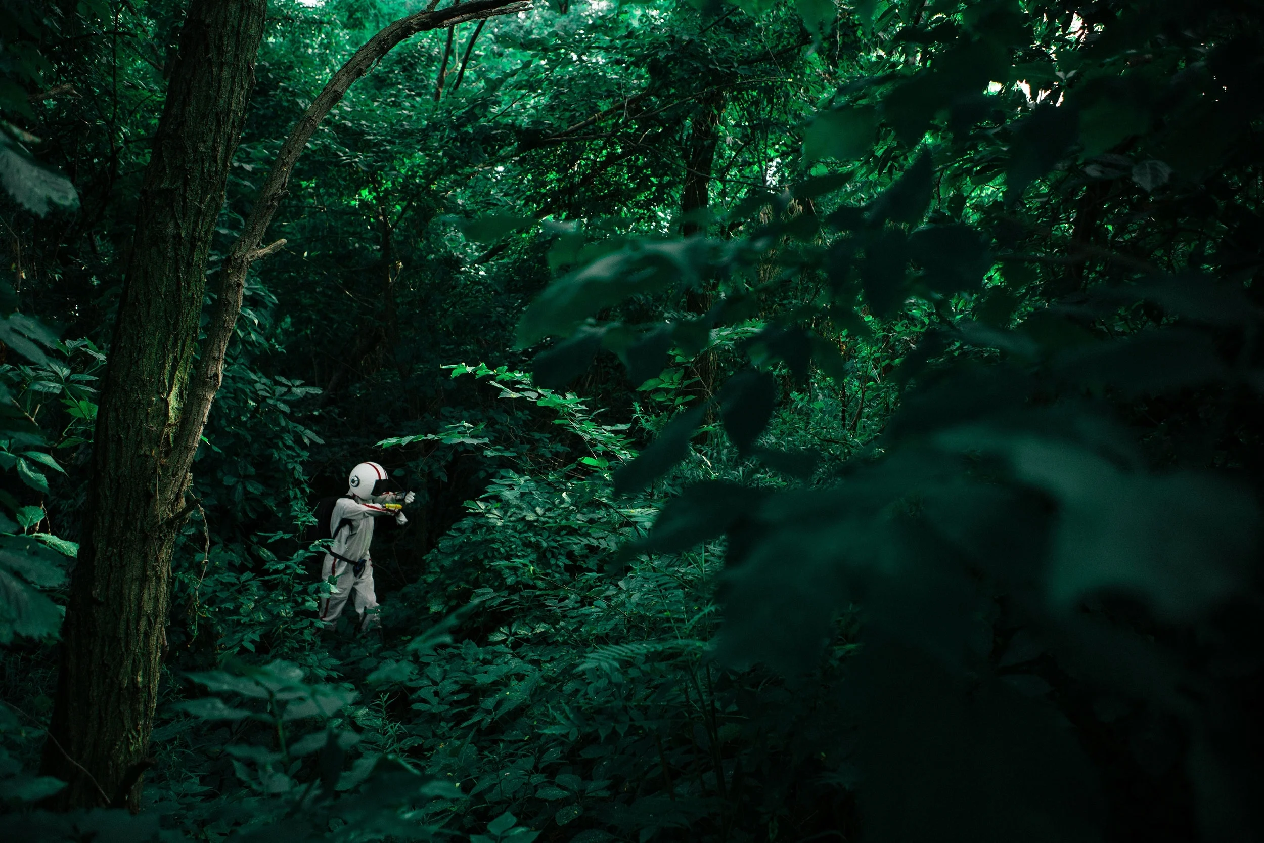 lost_in_the_woods.jpg
