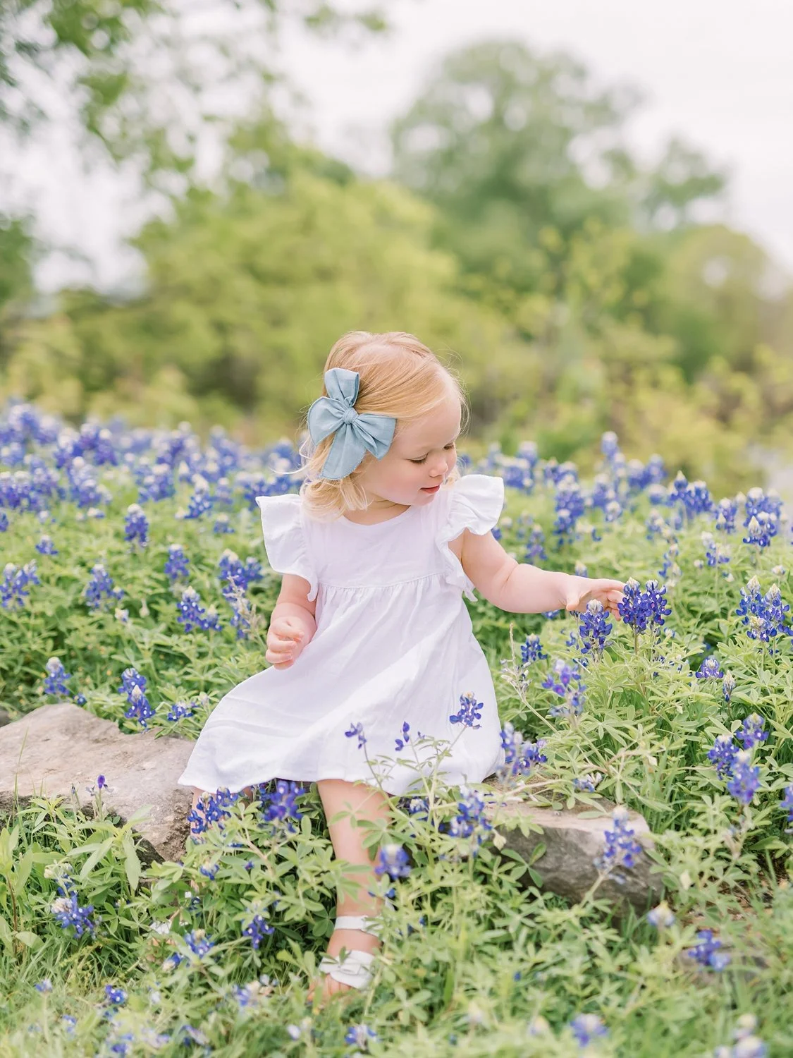 bluebonnet-photoshoot-9.jpg