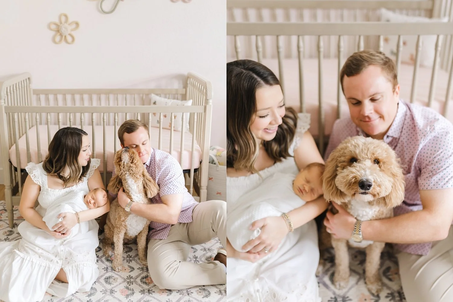 family dog at newborn photoshoot