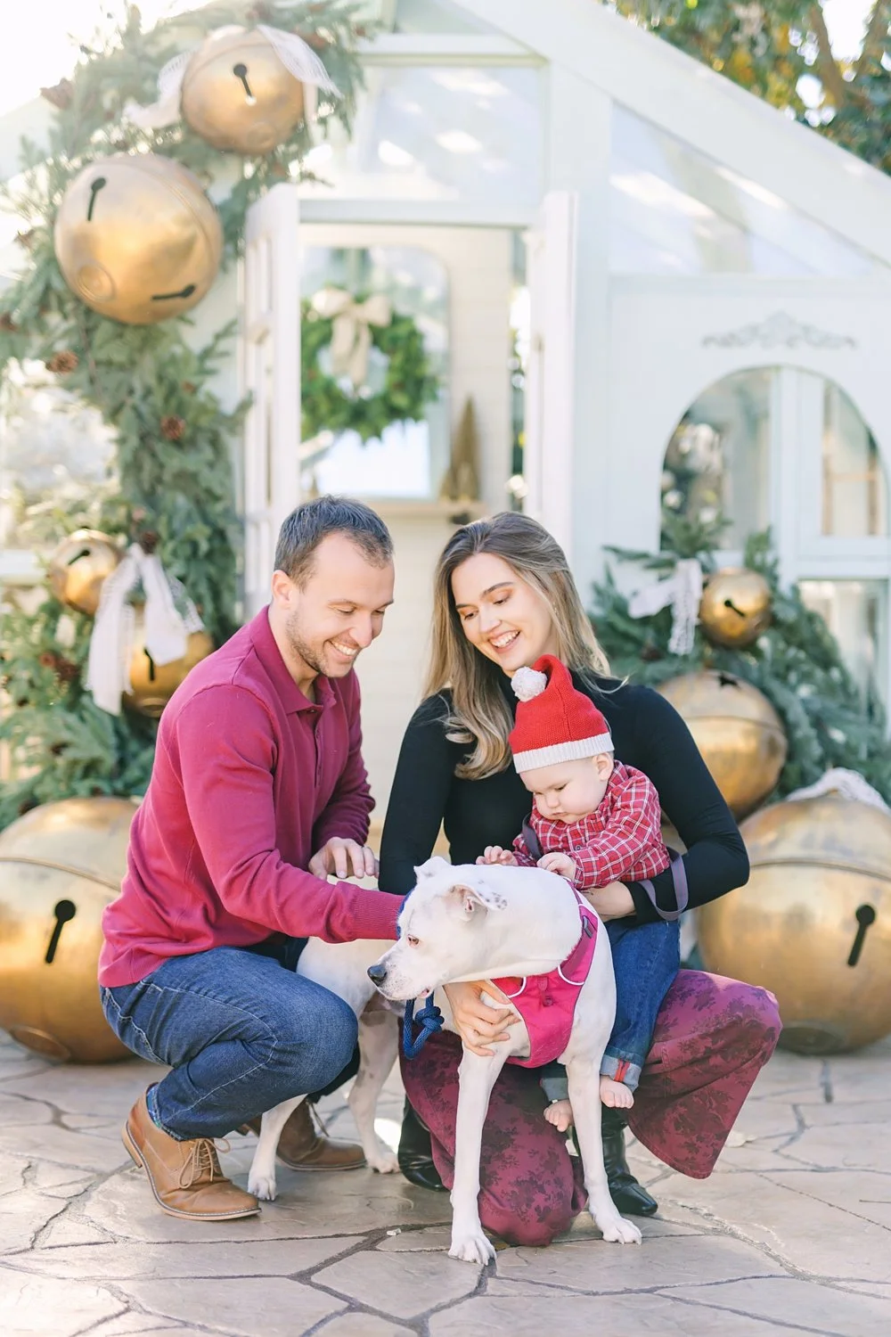 dallas-christmas-greenhouse-mini-session- (5).jpg