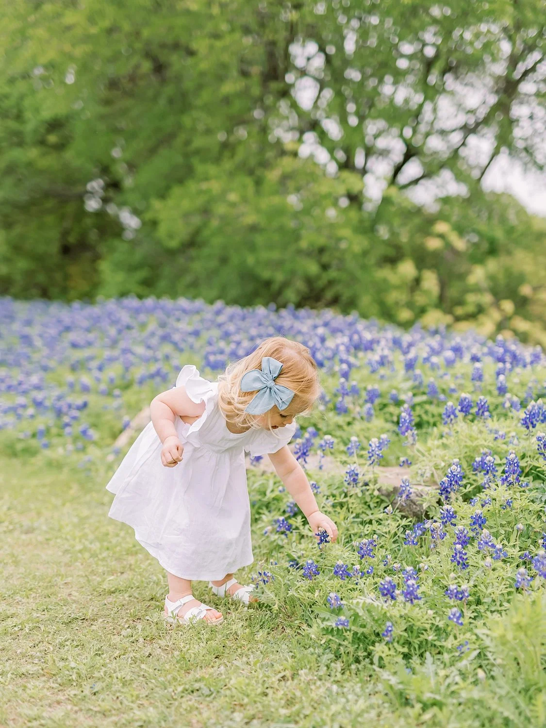 bluebonnet-photoshoot-8.jpg