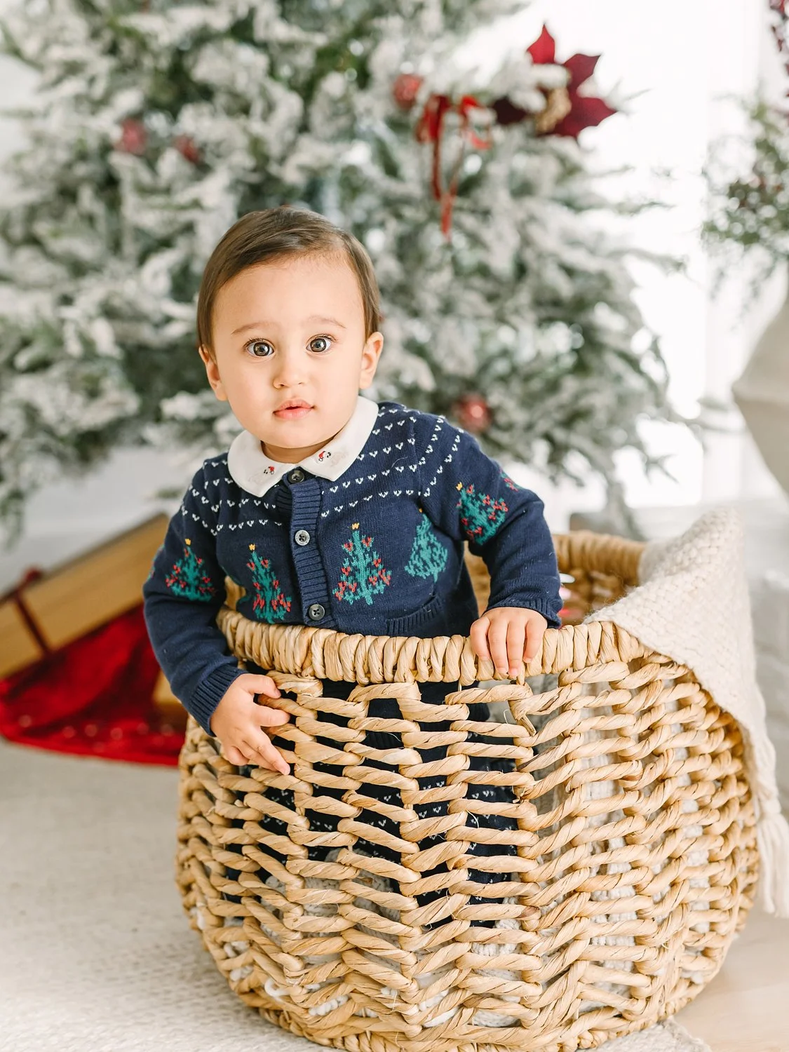 dallas-family-photographer-holiday-minis-christmas-minis (7).jpg