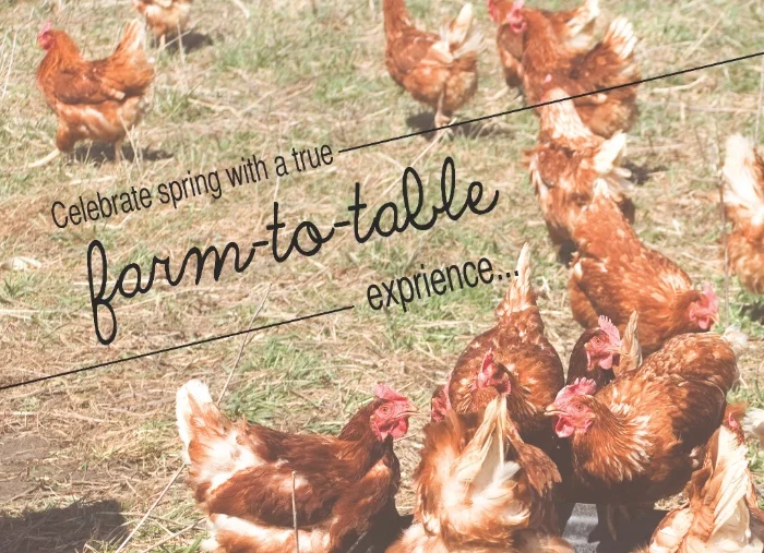 Farm Dinner Season begins!!!