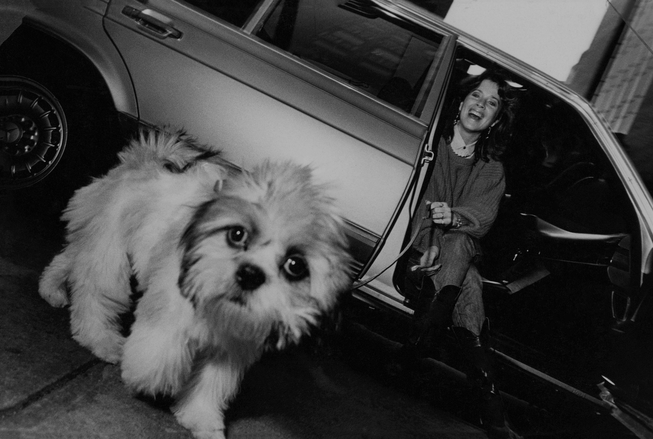 dog and mercedes 57th st., nyc, c. 1987