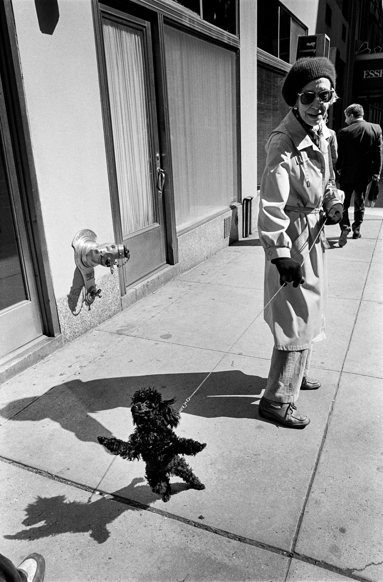 Dancing Dog, NYC, 1988