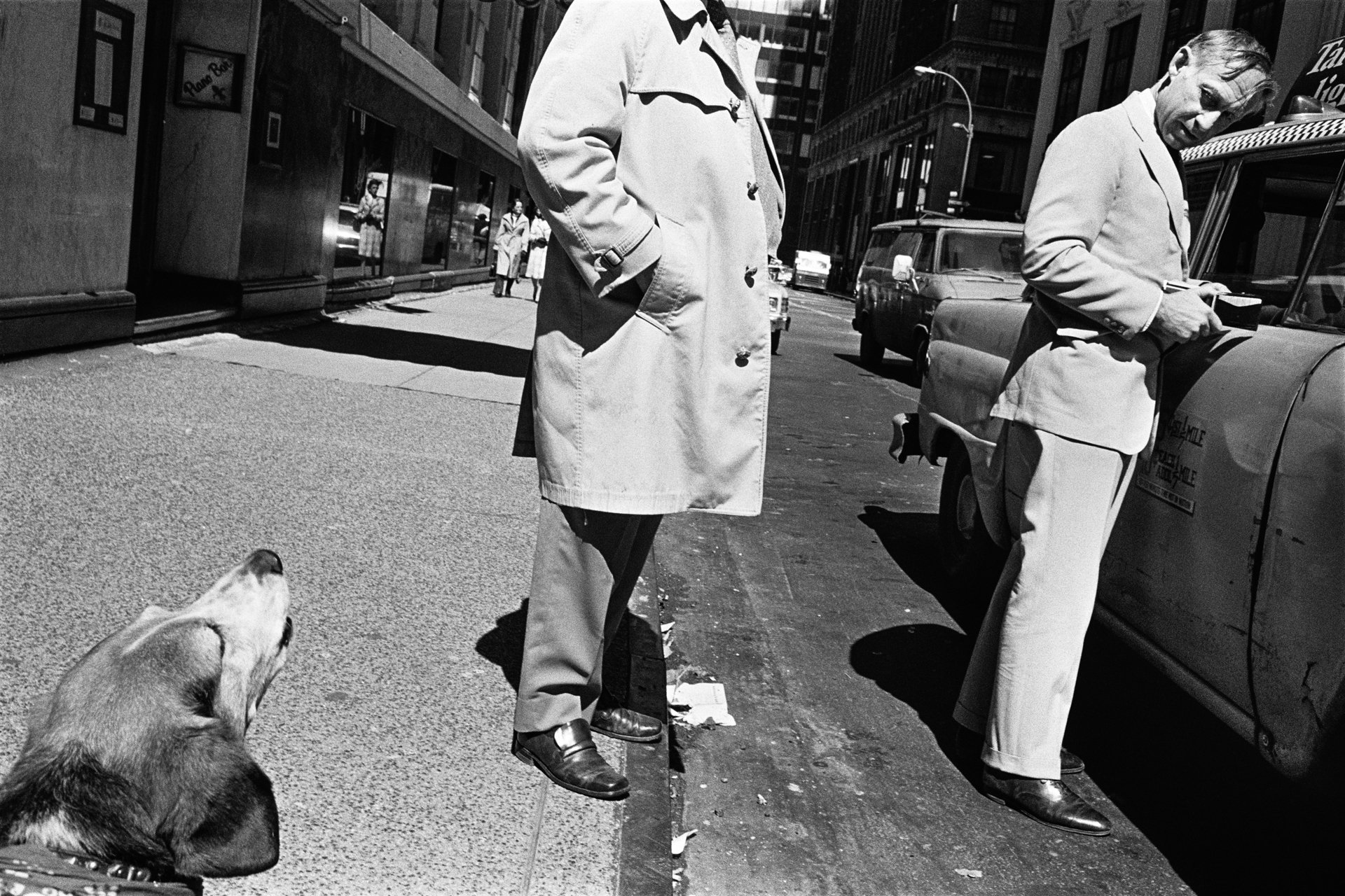 Dog and Cab, NYC, 1979