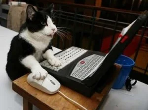 This cat has learned to overcome the challenges of working remotely.