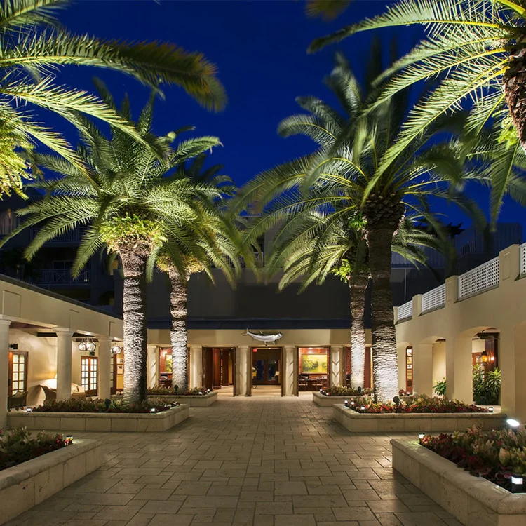 Cheeca Lodge & Spa