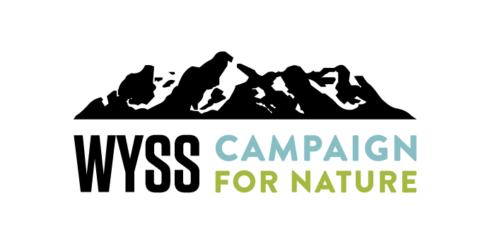 BINK_WyssCampaign_logo.png
