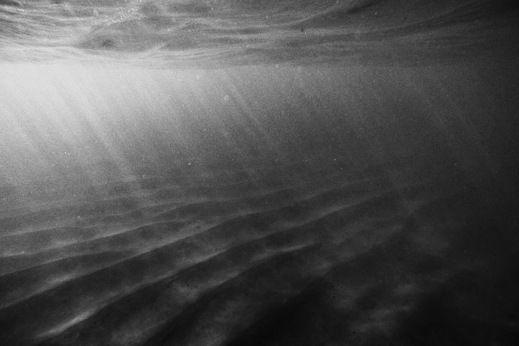 waimeaBay_float.jpg