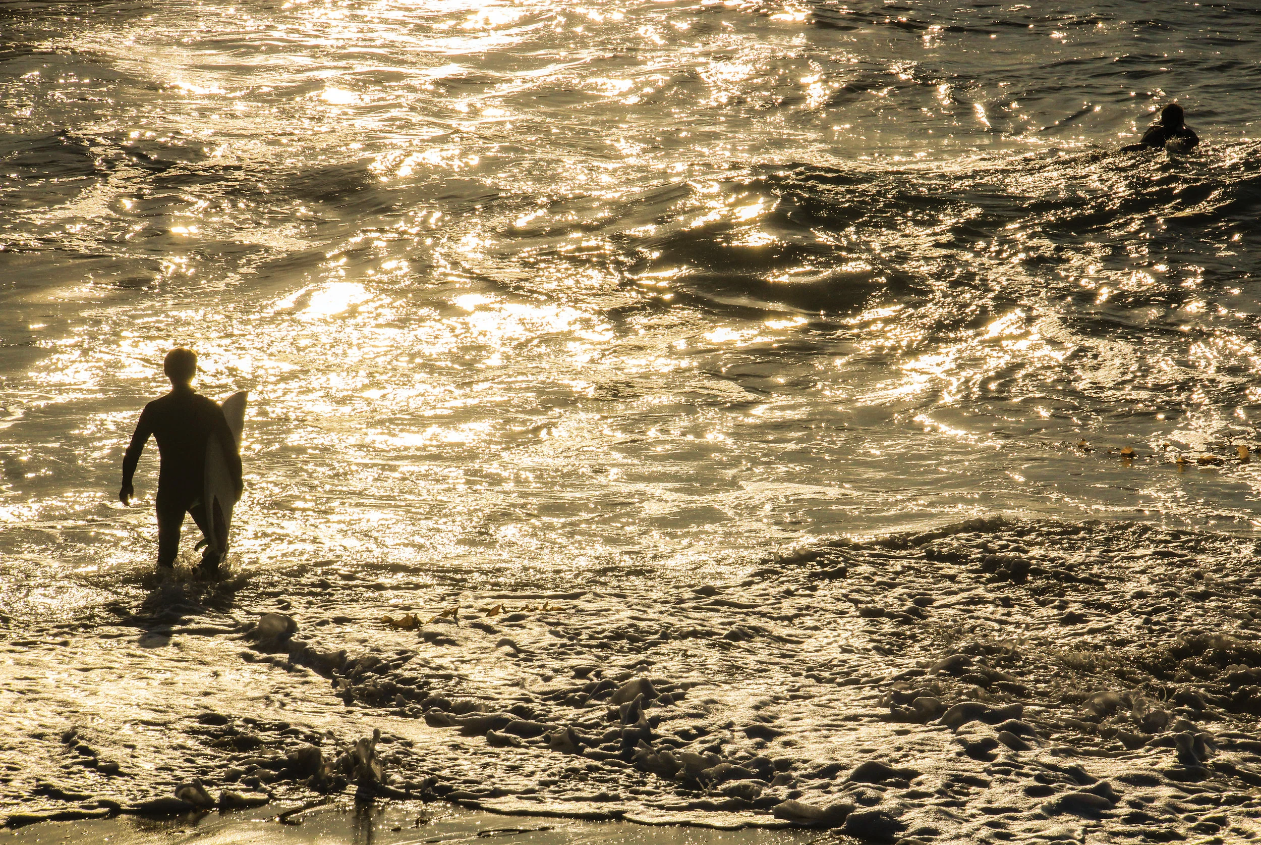 weez_goldenwater_surf.jpg