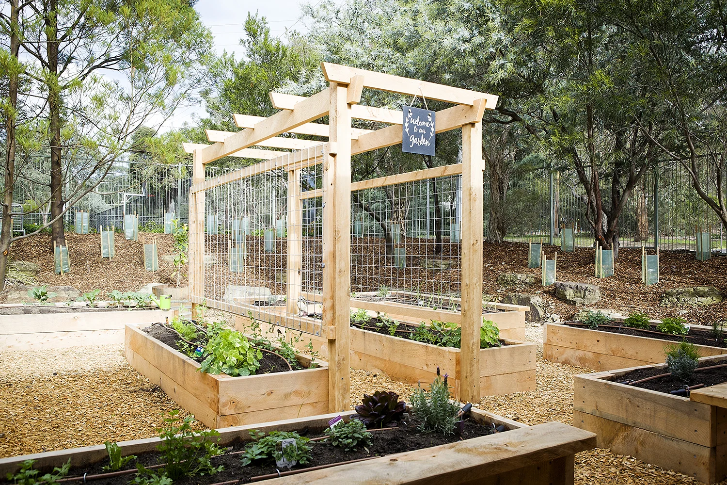 warrandyte_kinder_102.jpg