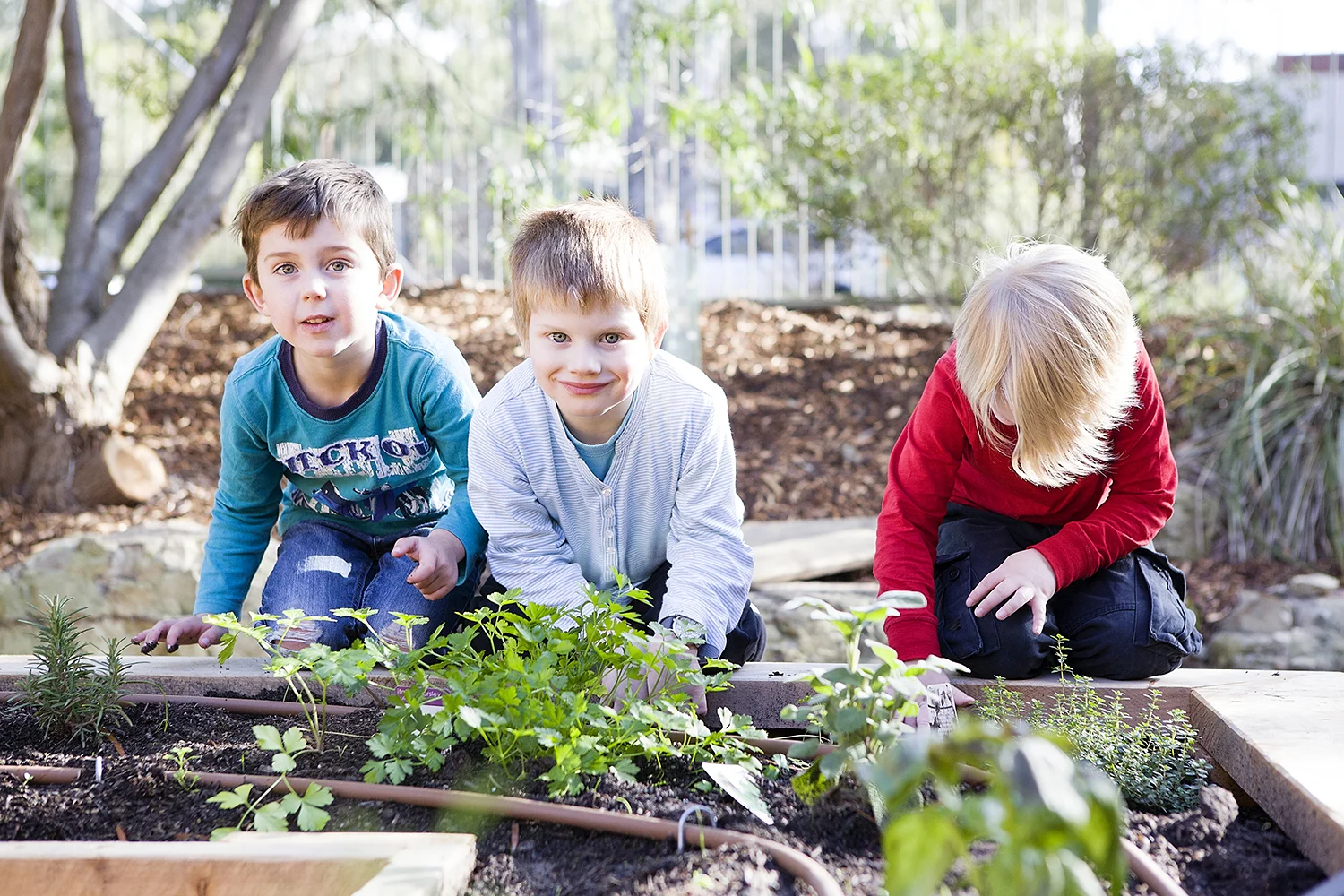 warrandyte_kinder_147.jpg