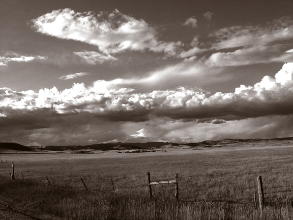 Fairburn Fenceline.jpg