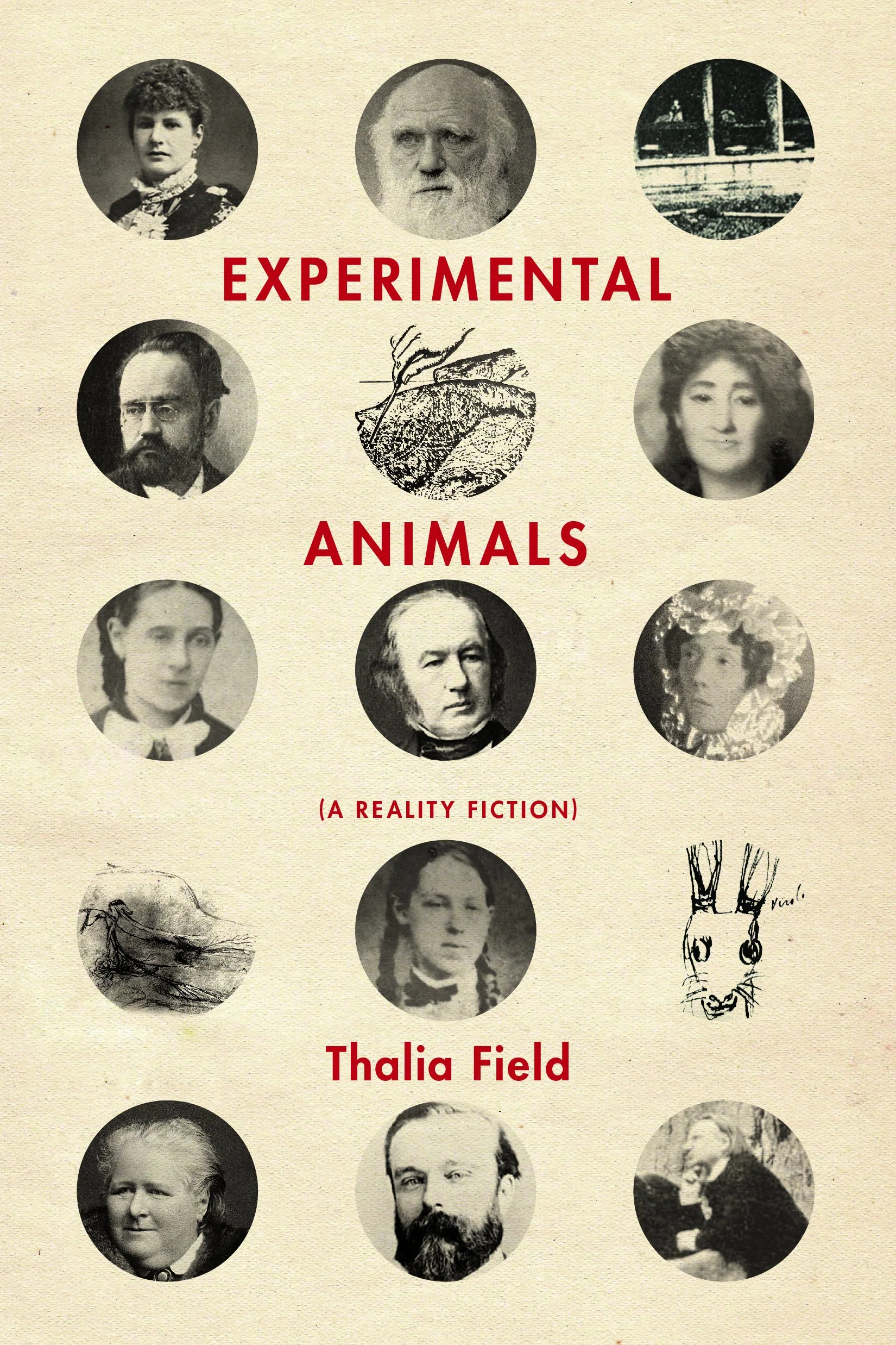 Experimental Animal by Thalia Field