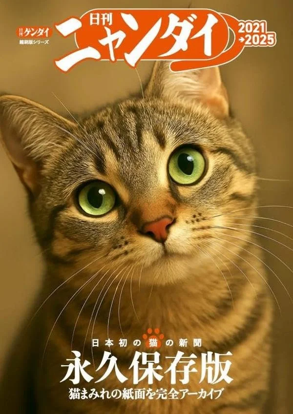 Japanese Nyandai 2021→2025