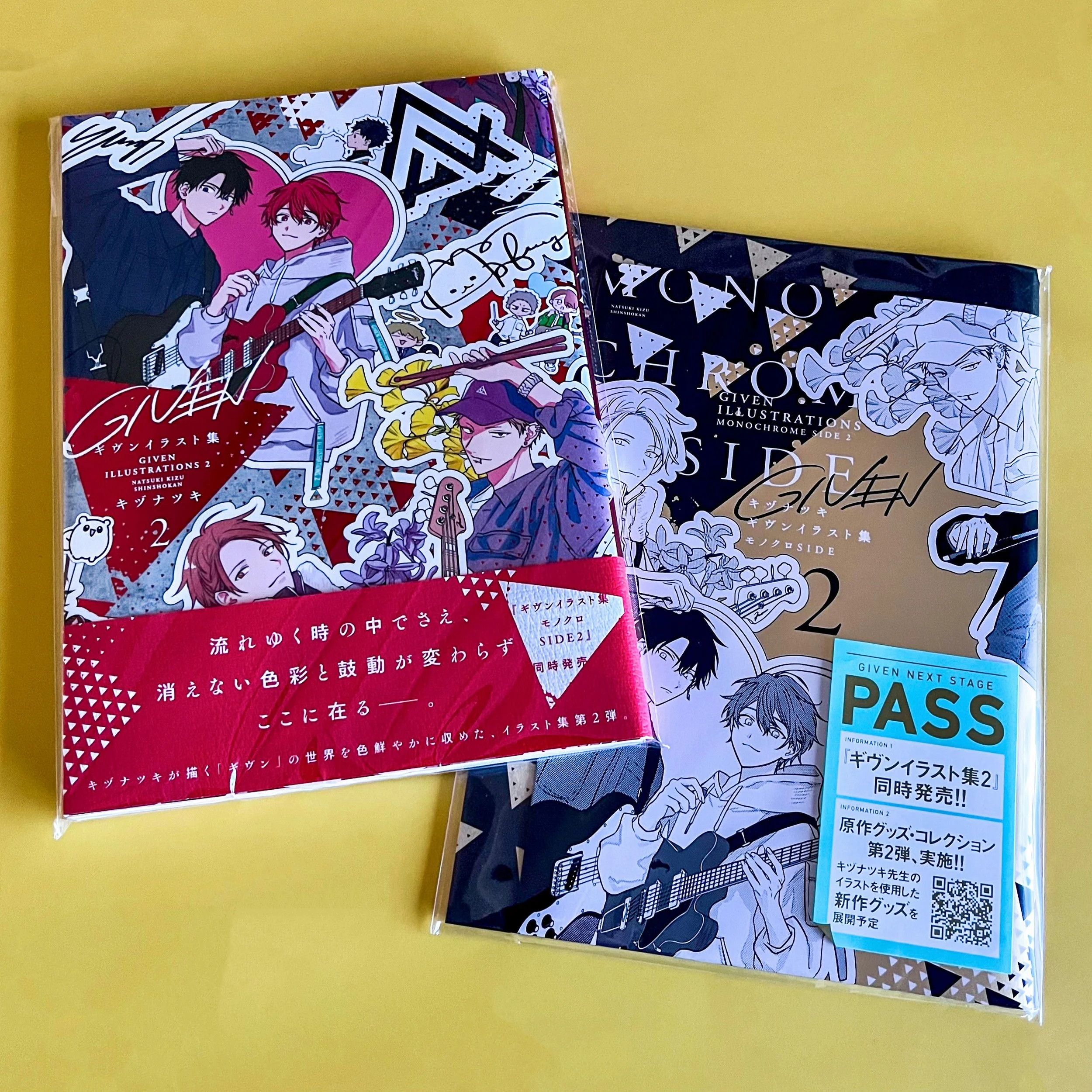 Given Illustrations 2 and Illustrations Monochrome Side 2