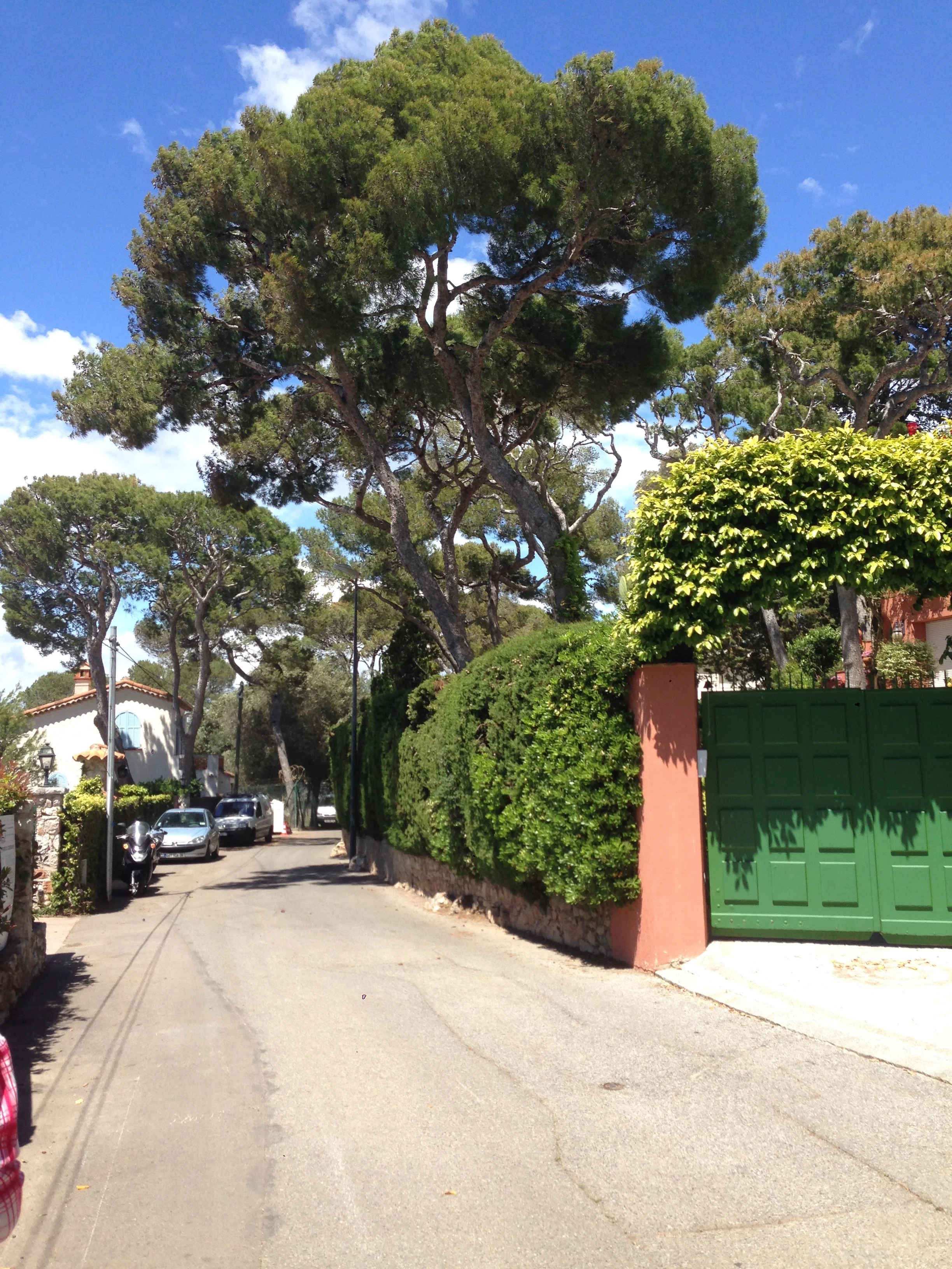 Walking around the perimeter of Saint-Jean-Cap-Ferrat. The colour combinations are an artist's dream.