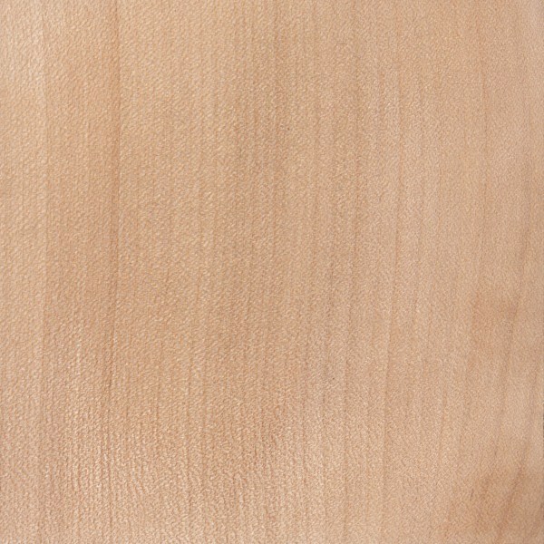SYCAMORE