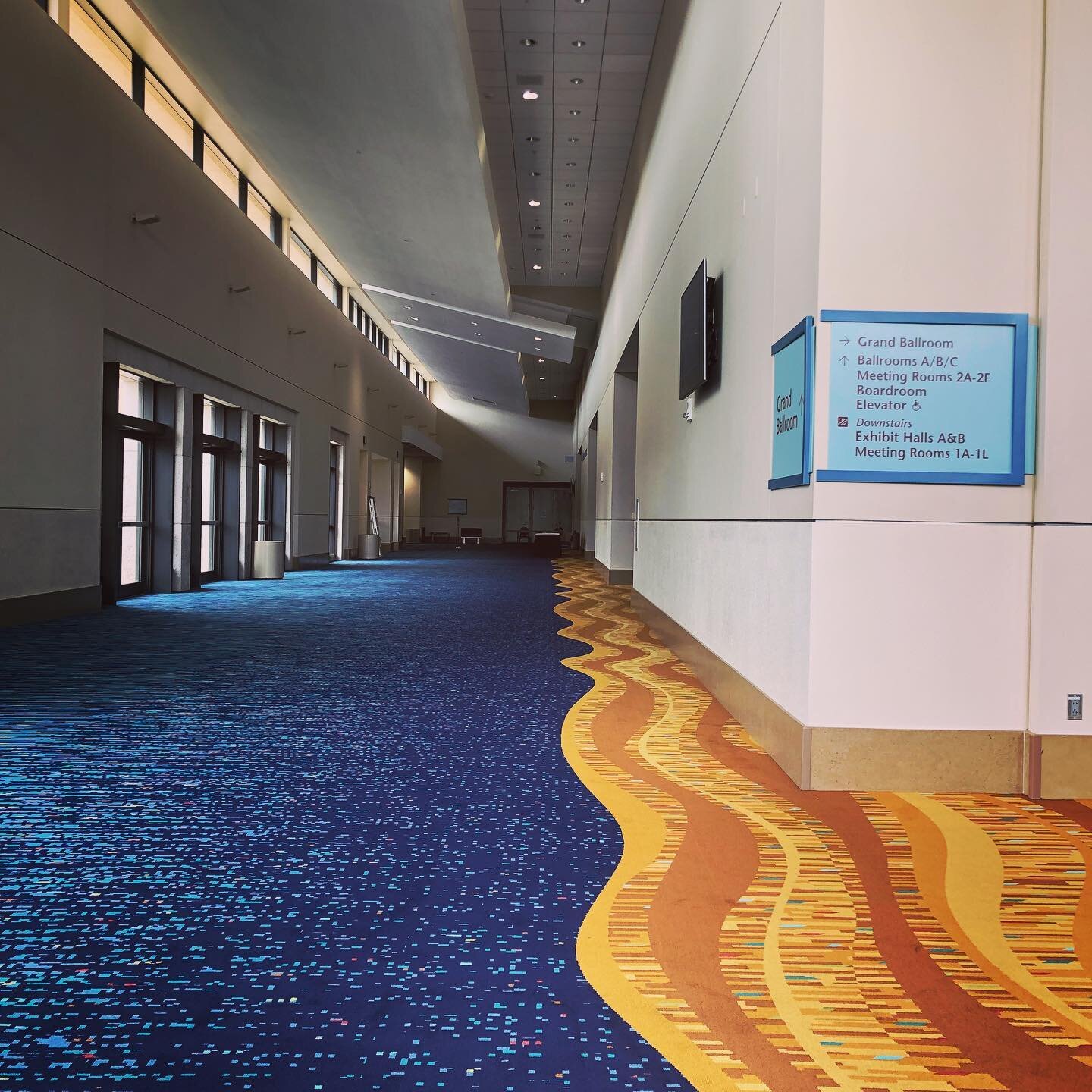 Here&rsquo;s a sneak peek of the new carpet at @pbconventionctr, that brings the Florida surf &amp; sand to the heart of Palm Beach&rsquo;s hustle &amp; bustle. #design #palmbeach #palmbeachstyle #palmbeachesfl #interiordesign