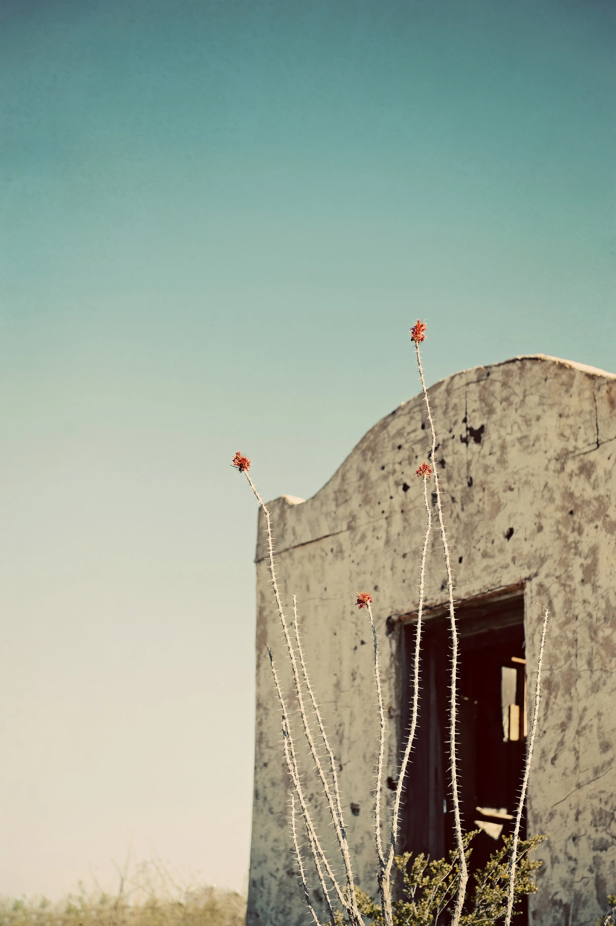 Contrabando No. 2 12x18.jpg