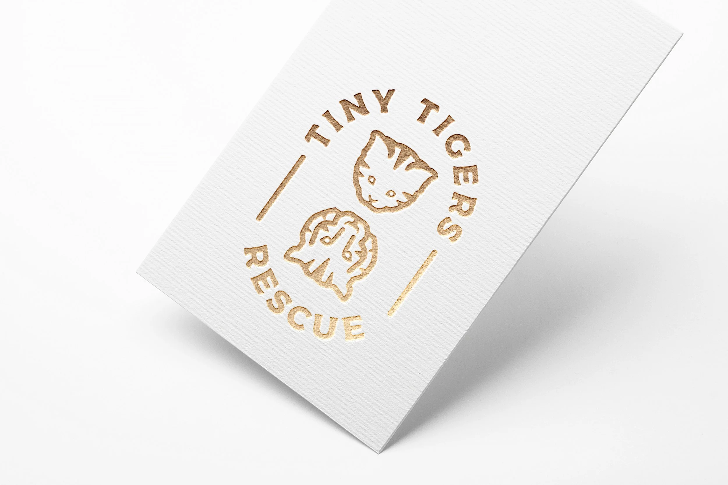 Tiny.jpg