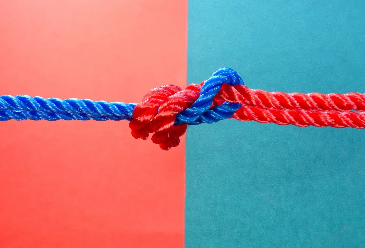 Andre's Eaglesoft Field Blog Set Up Patient in Eaglesoft with Dual In