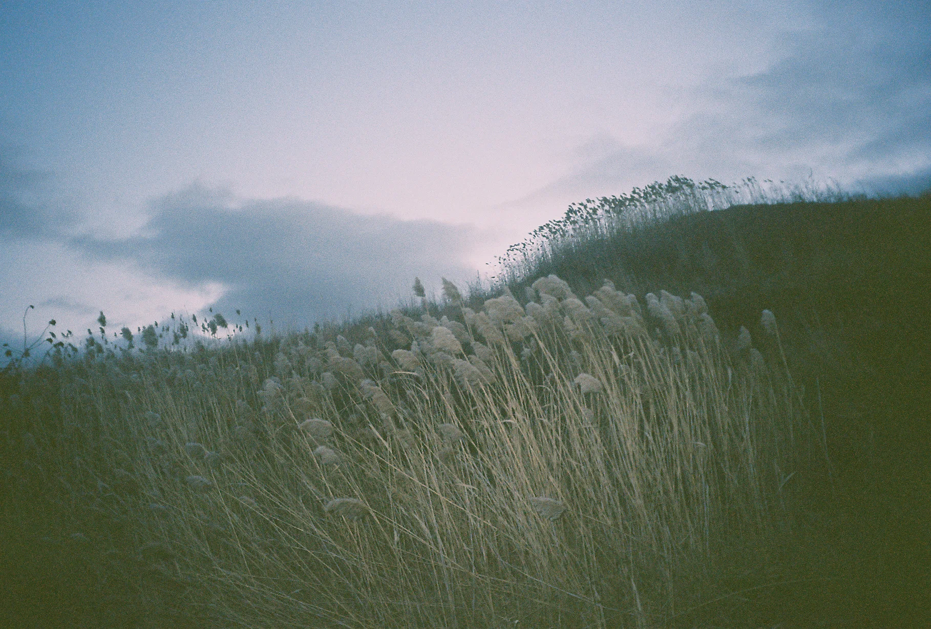 Bayonne, NJ 2015